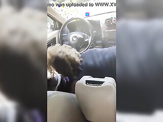 ass slut in car